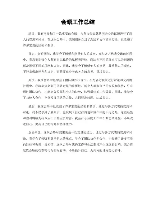 会晤工作总结