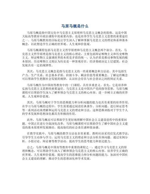 马原马概是什么