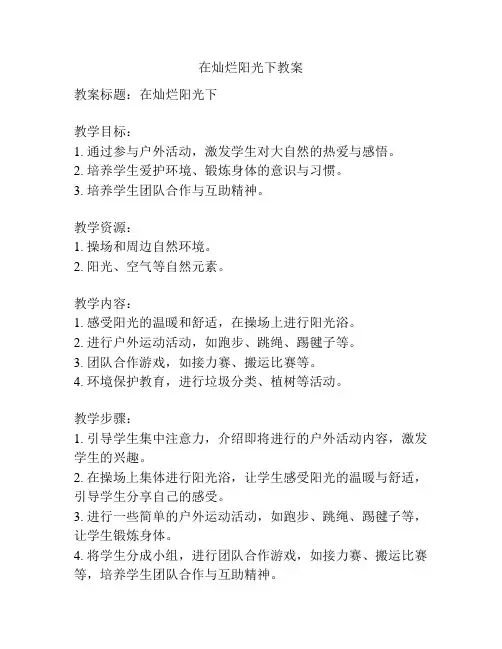 在灿烂阳光下教案