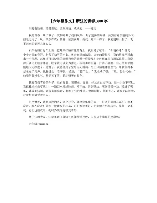 【六年级作文】断弦的青春_600字