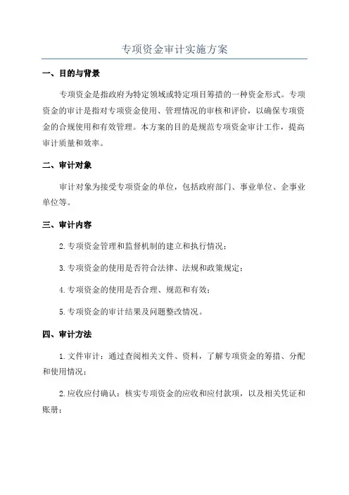 专项资金审计实施方案