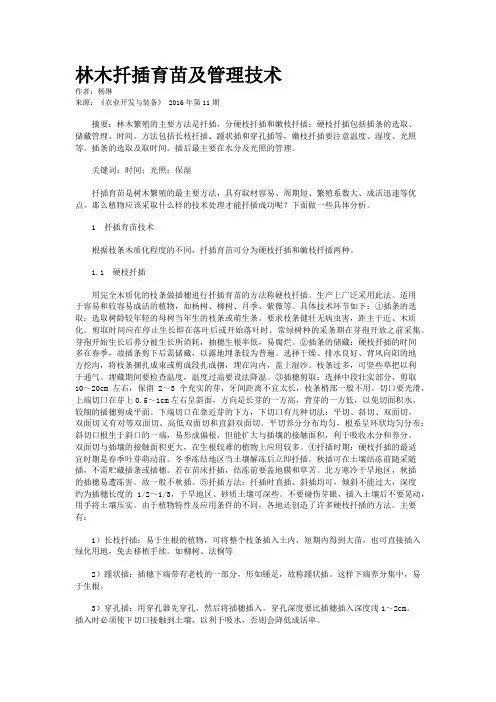林木扦插育苗及管理技术   
