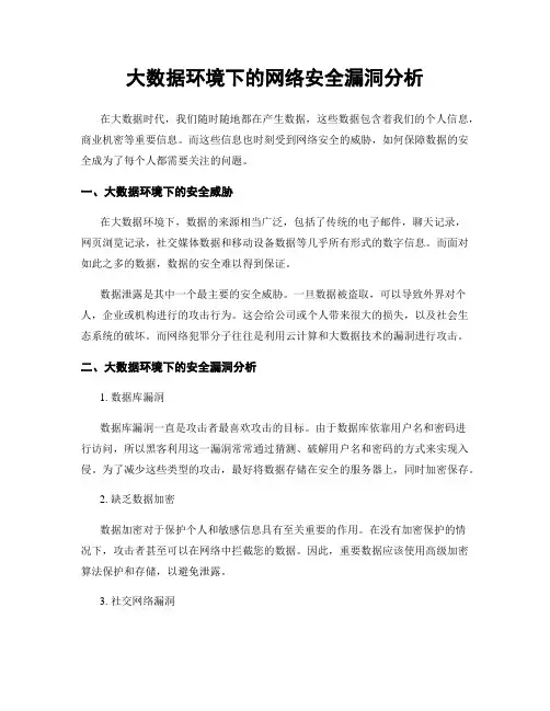 大数据环境下的网络安全漏洞分析