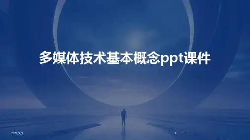 2024年度多媒体技术基本概念ppt课件