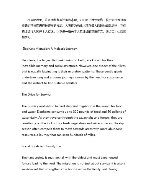 关于大象迁徙英语作文高中
