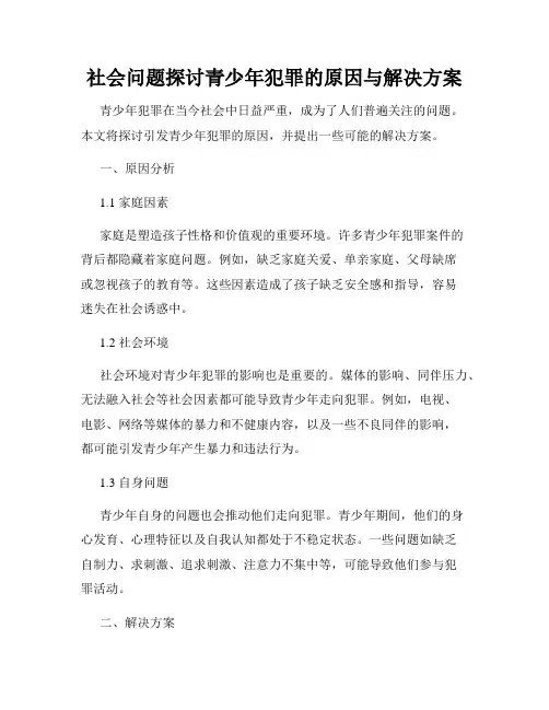 社会问题探讨青少年犯罪的原因与解决方案