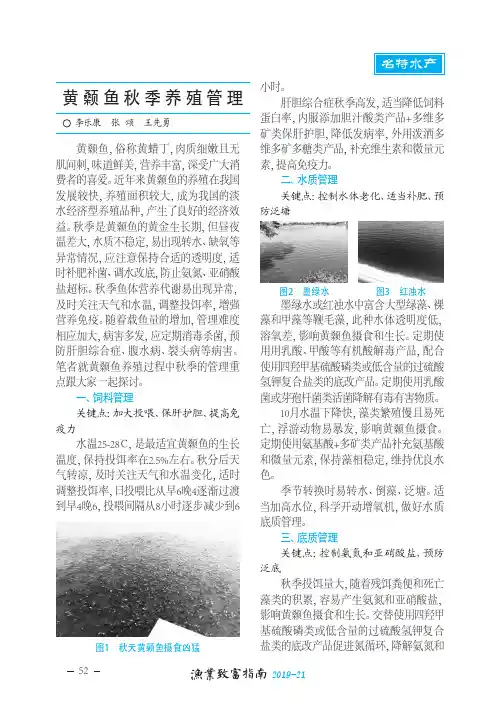 黄颡鱼秋季养殖管理