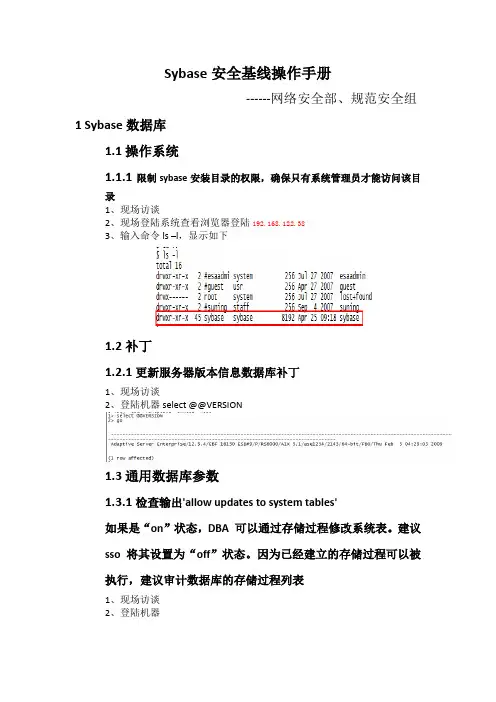 Sybase安全基线检查操作手册