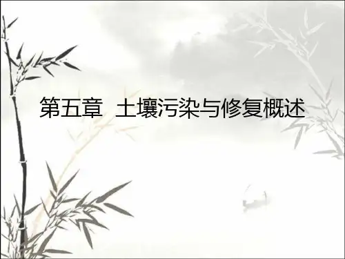 土壤污染与修复概述 PPT课件