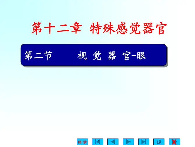 【课件】中国药科大学生理学课件：第13章 特殊感觉器官