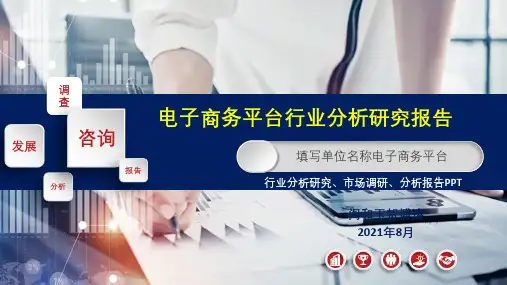 电子商务平台行业分析报告ppt