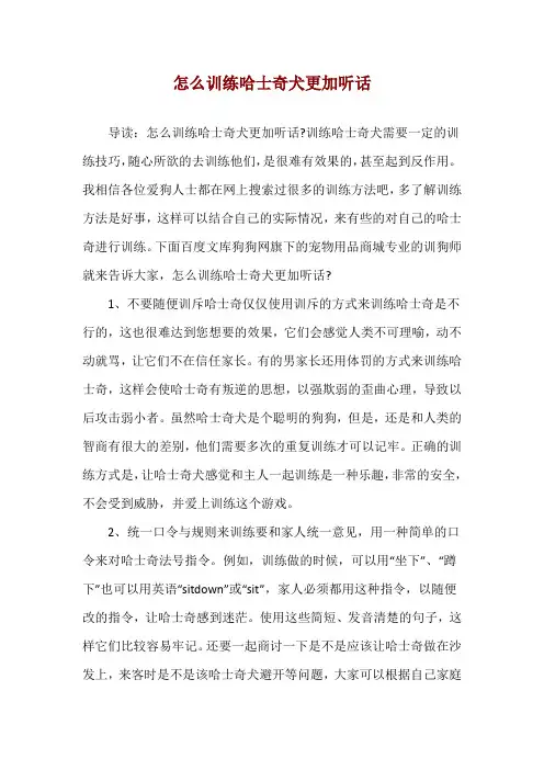 怎么训练哈士奇犬更加听话