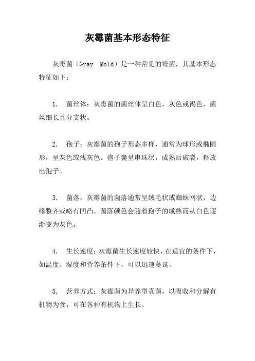 灰霉菌基本形态特征