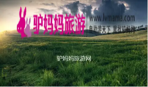 驴妈妈旅游网