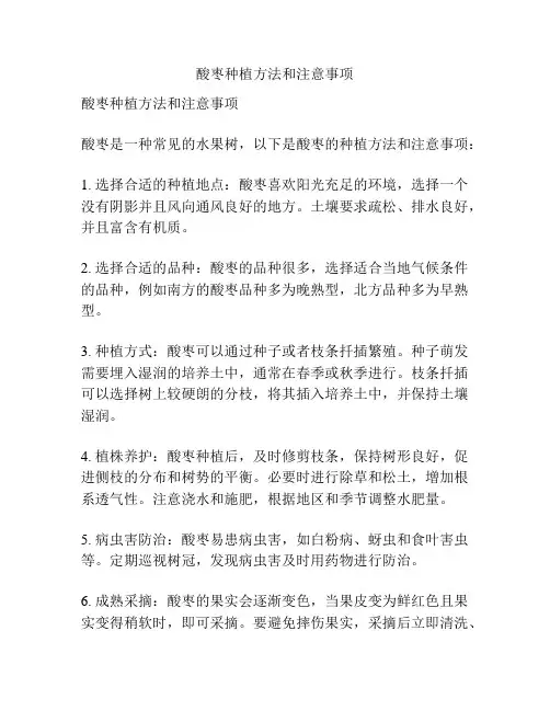 酸枣种植方法和注意事项