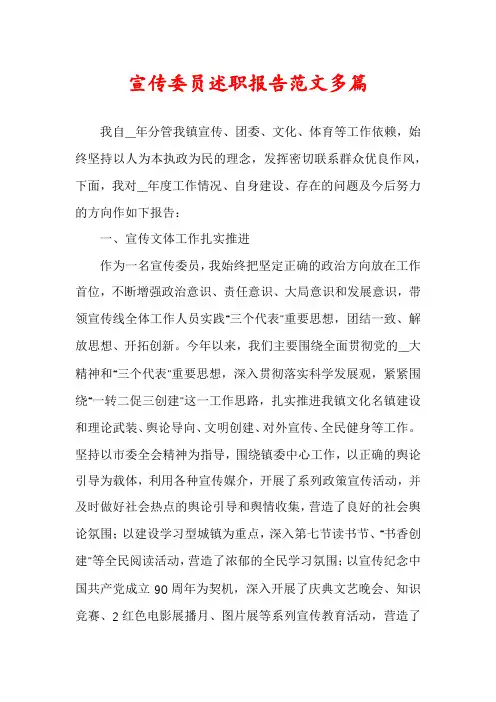 宣传委员述职报告范文多篇