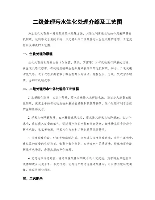 二级处理污水生化处理介绍及工艺图