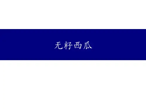 高中生物育种---无籽西瓜知识点总结汇总(共20张PPT)
