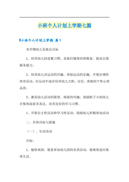 小班个人计划上学期七篇