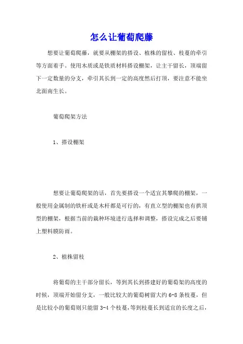 怎么让葡萄爬藤