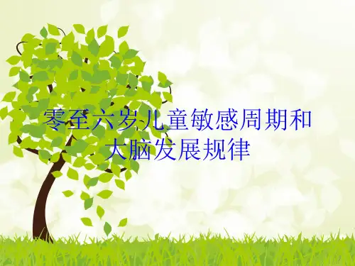 零至六岁儿童敏感周期和大脑发展规律培训课件