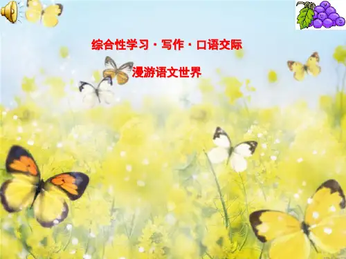 综合性练习《漫游语文世界》公开PPT课件