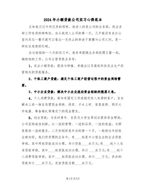 2024年小额贷款公司实习心得范本(2篇)