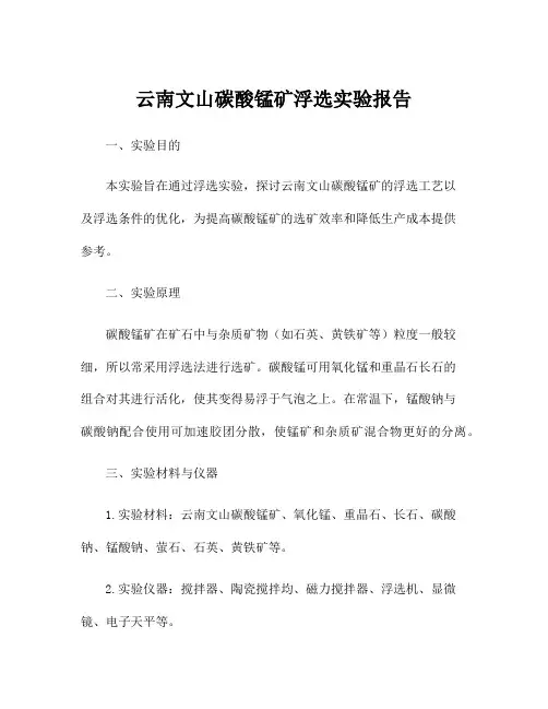 云南文山碳酸锰矿浮选实验报告