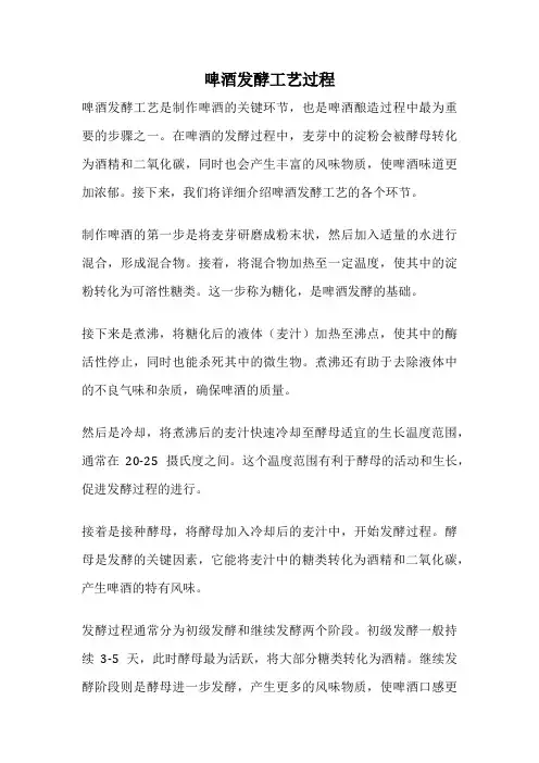 啤酒发酵工艺过程