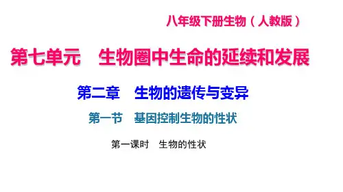 人教版八年级生物下册课件 第二章 生物的遗传与变异 第一节 基因控制生物的性状 第一课时 生物的性状