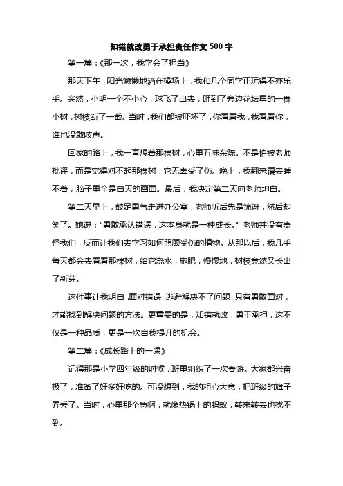 知错就改勇于承担责任作文500字