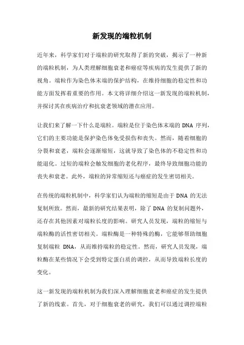 新发现的端粒机制