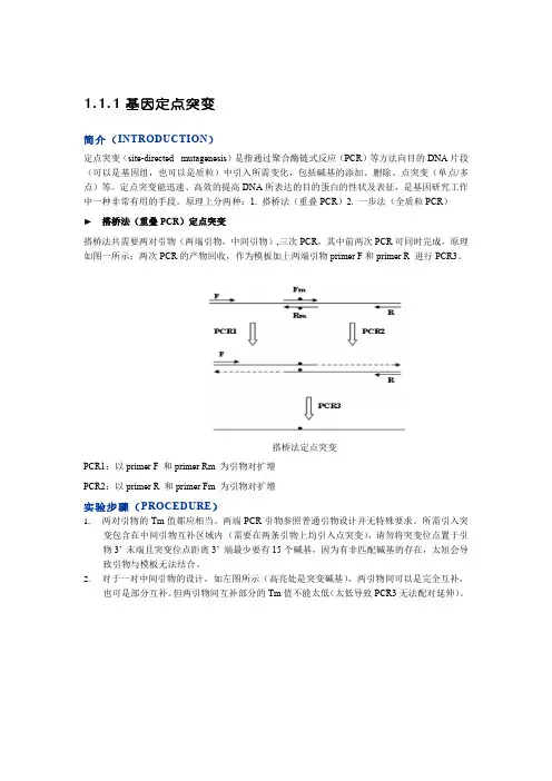 定点突变