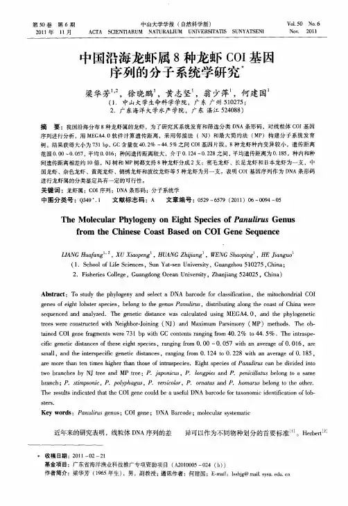 中国沿海龙虾属8种龙虾COI基因序列的分子系统学研究