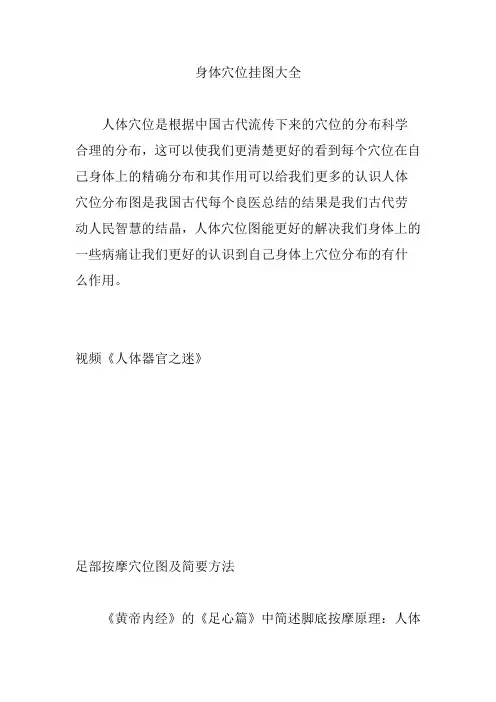 身体穴位挂图大全