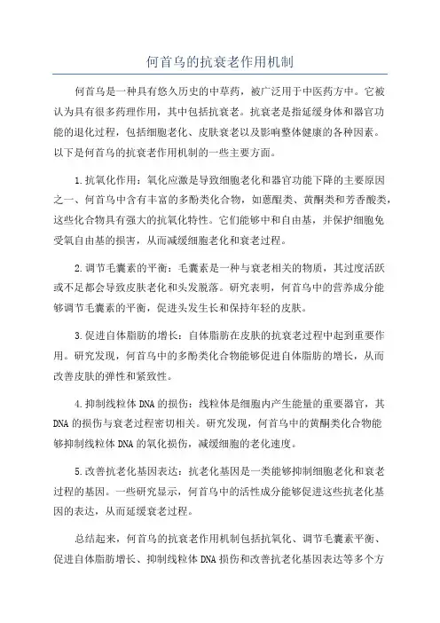 何首乌的抗衰老作用机制