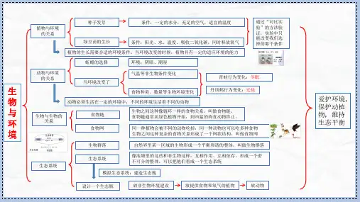 教科版科学五年级下册全册思维导图