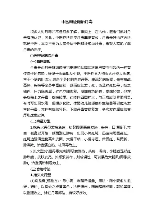 中医辩证施治丹毒