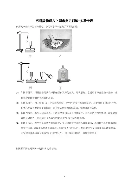 2022-2023学年苏科版物理八年级上学期期末复习训练--实验专题