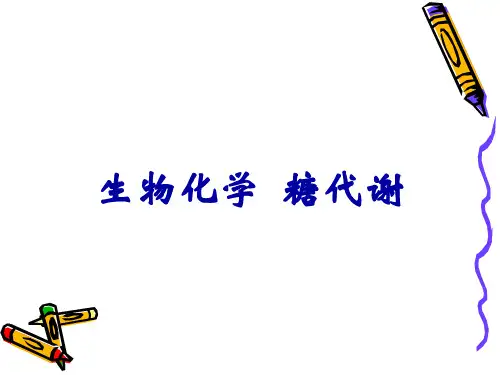 生物化学--糖代谢