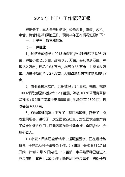 2013年上半年工作情况汇报
