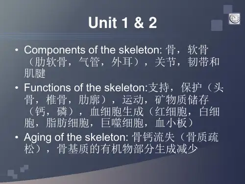 西医术语