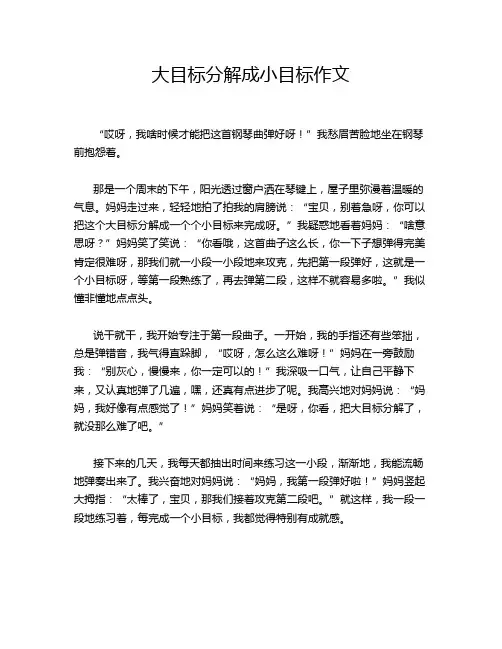大目标分解成小目标作文