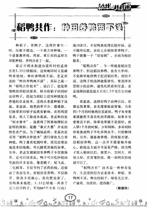 稻鸭共作：种田养鸭两不误