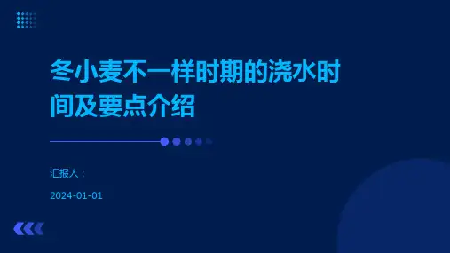 冬小麦不一样时期的浇水时间及要点介绍