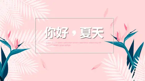 你好夏天遇见夏天夏日PPT模板