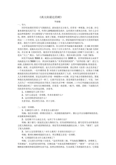 离太阳最近的树