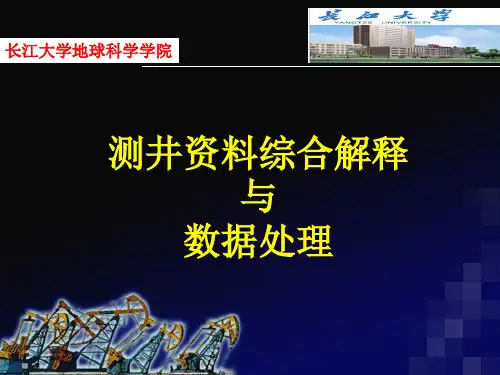 测井综合解释及数据处理ppt课件
