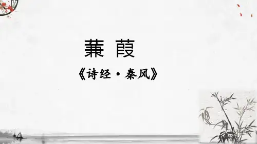 《蒹葭》ppt课件