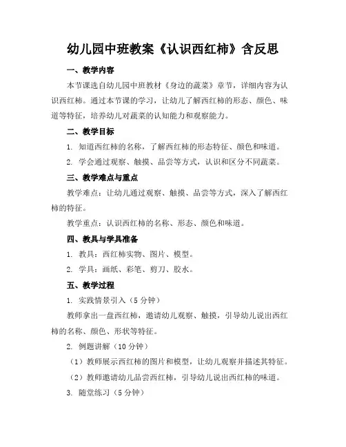 幼儿园中班教案《认识西红柿》含反思